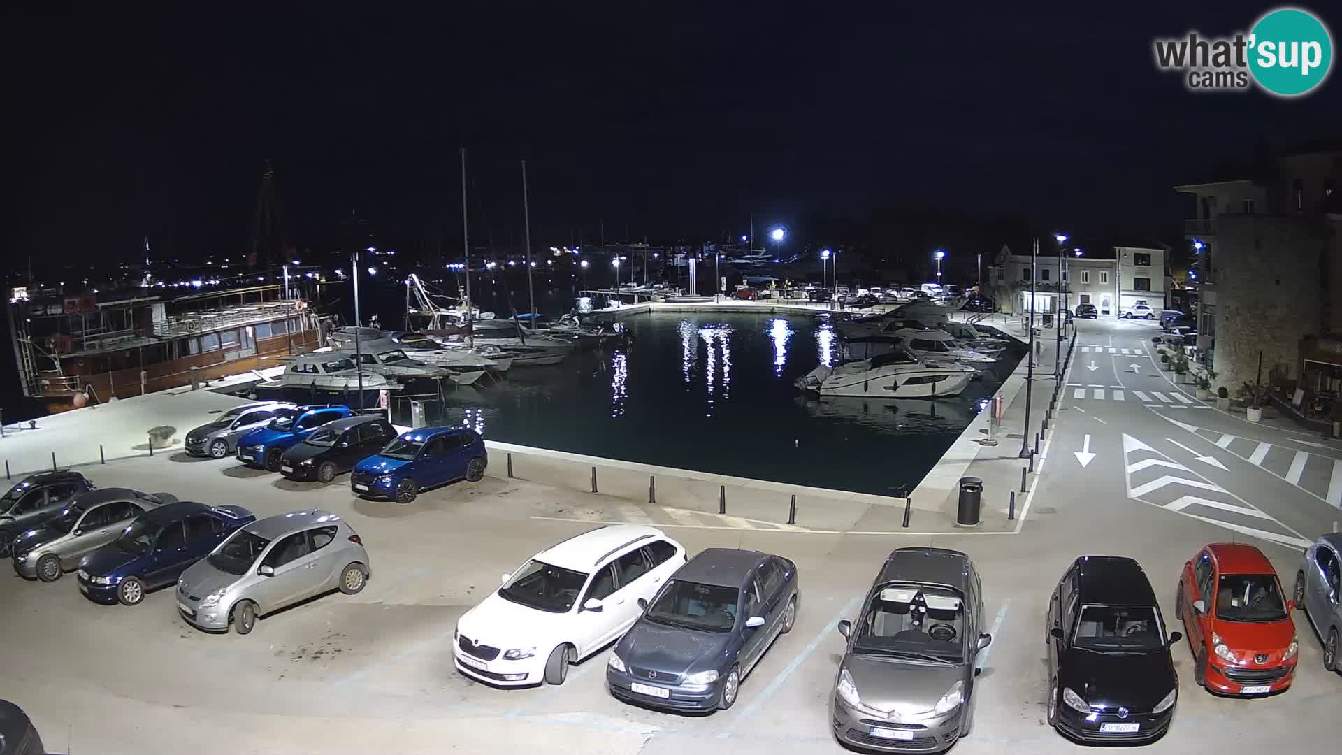 Novigrad | Porporela marina