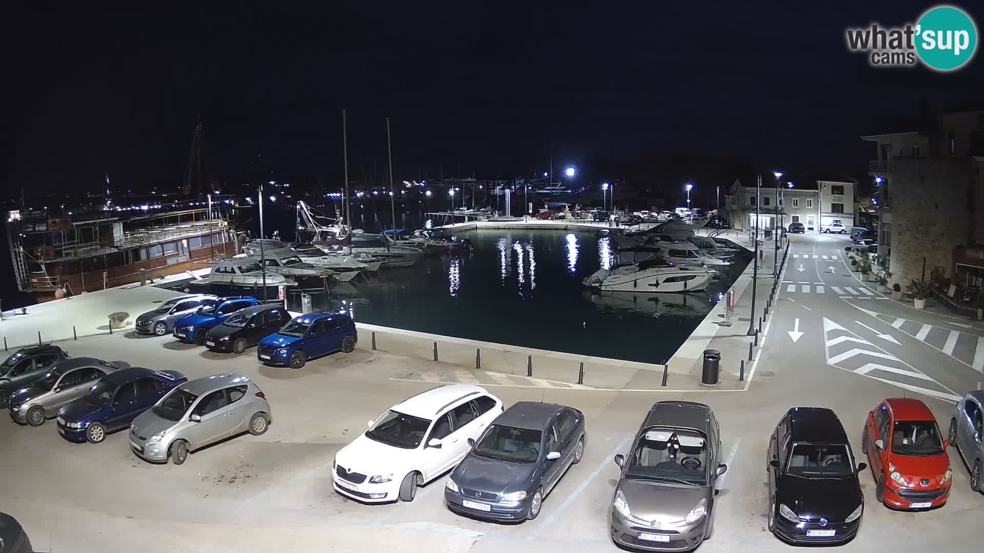 Novigrad | Porporela marina