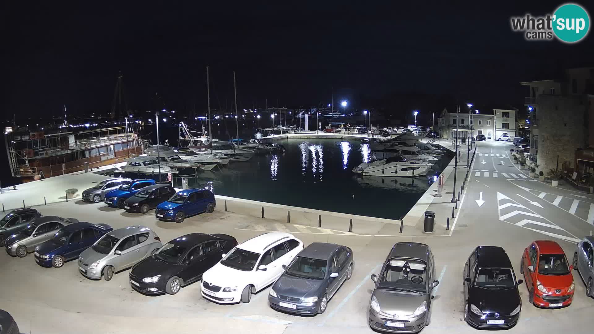 Novigrad | Porporela marina