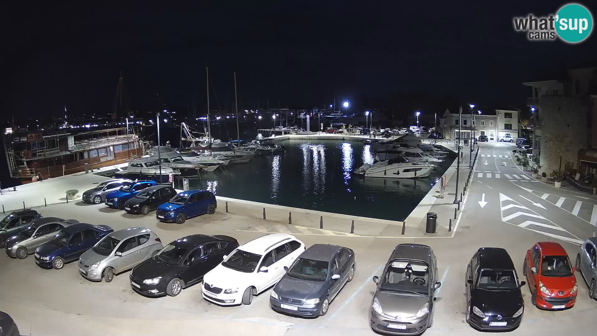 Novigrad | Porporela marina