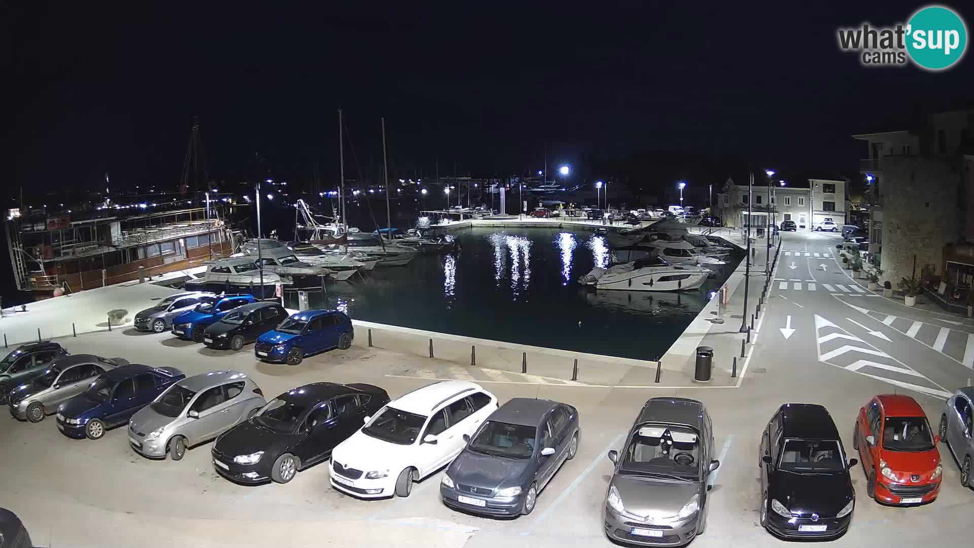 Novigrad | Porporela marina
