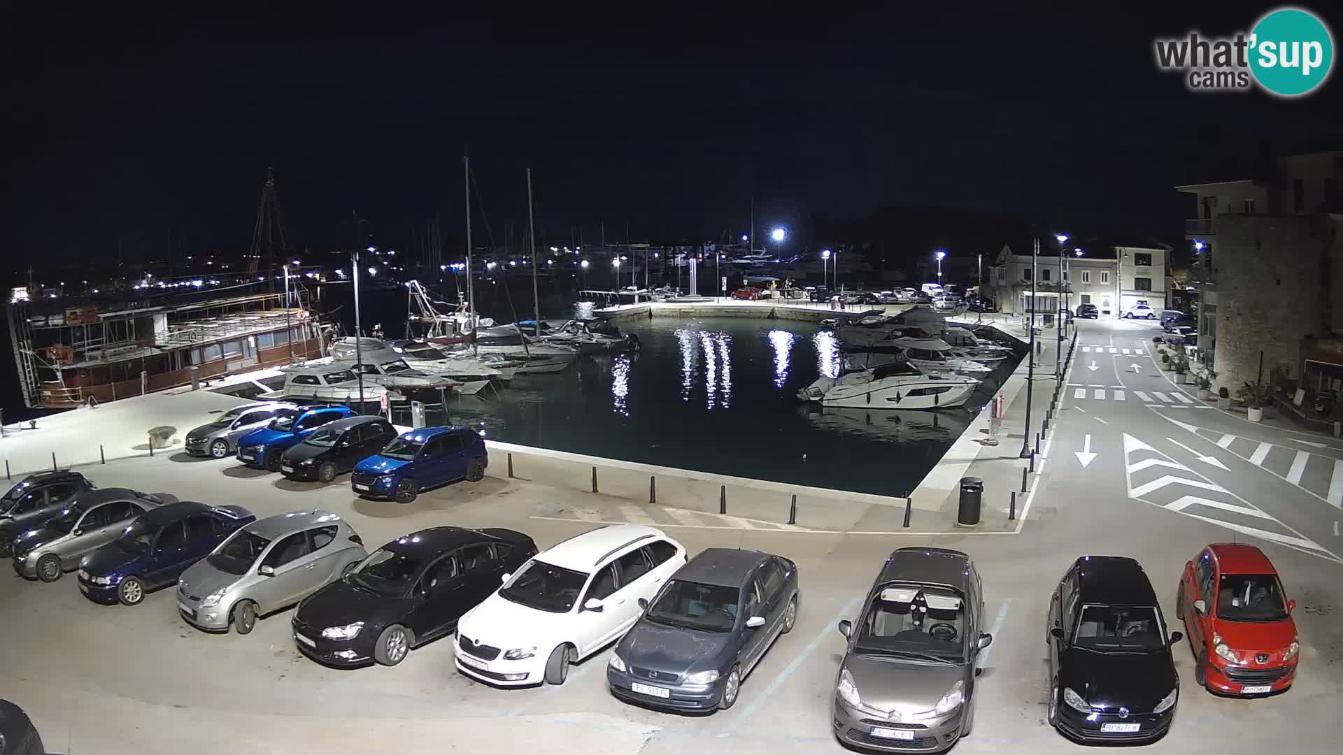 Novigrad | Porporela marina