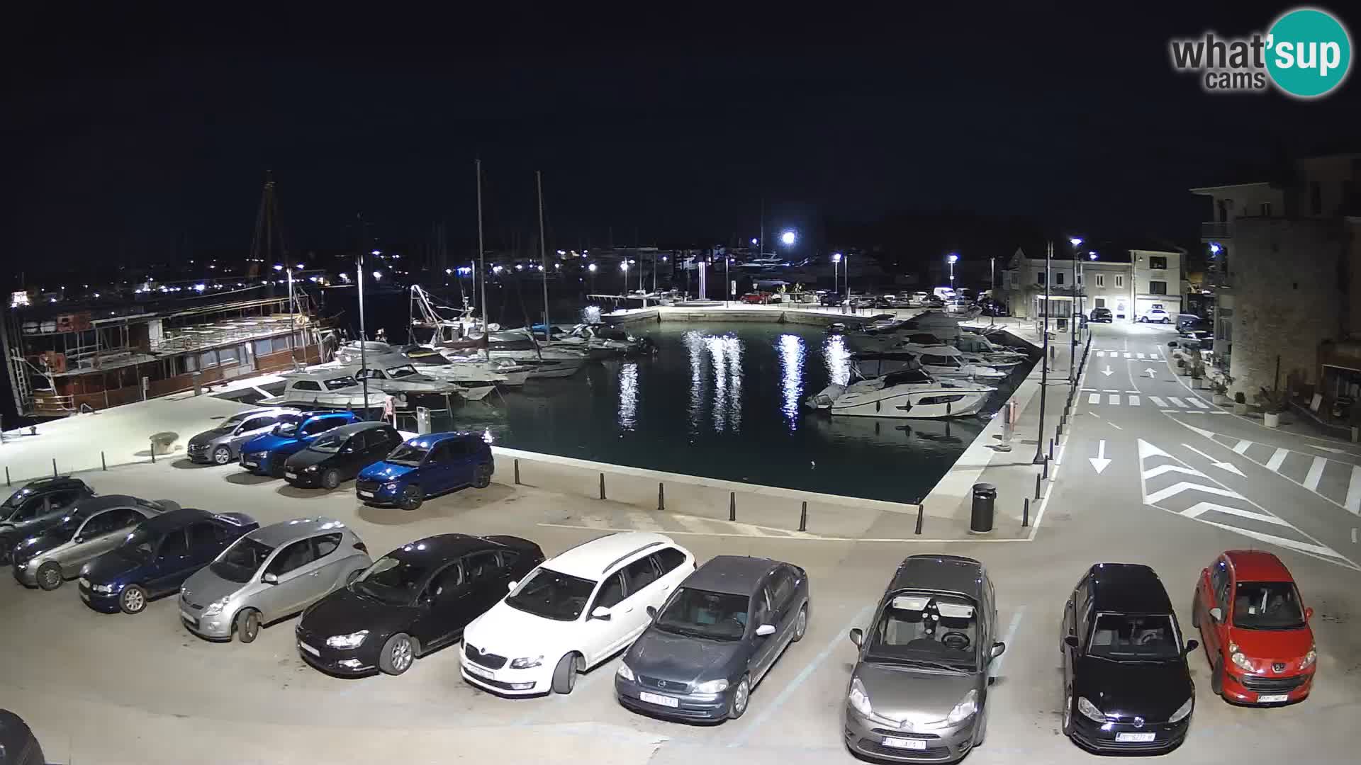 Novigrad | Porporela marina