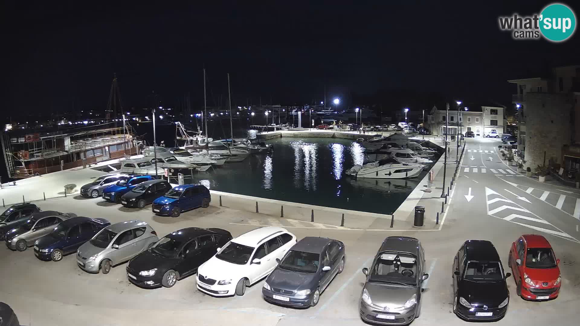 Novigrad | Porporela marina