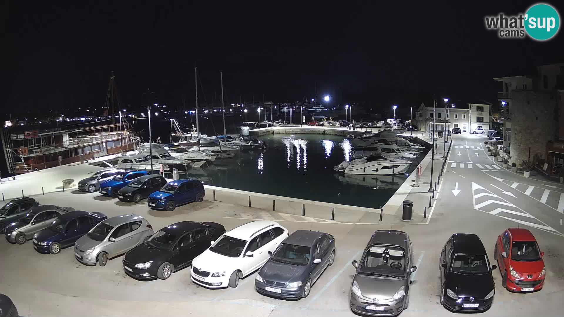 Novigrad | Porporela marina