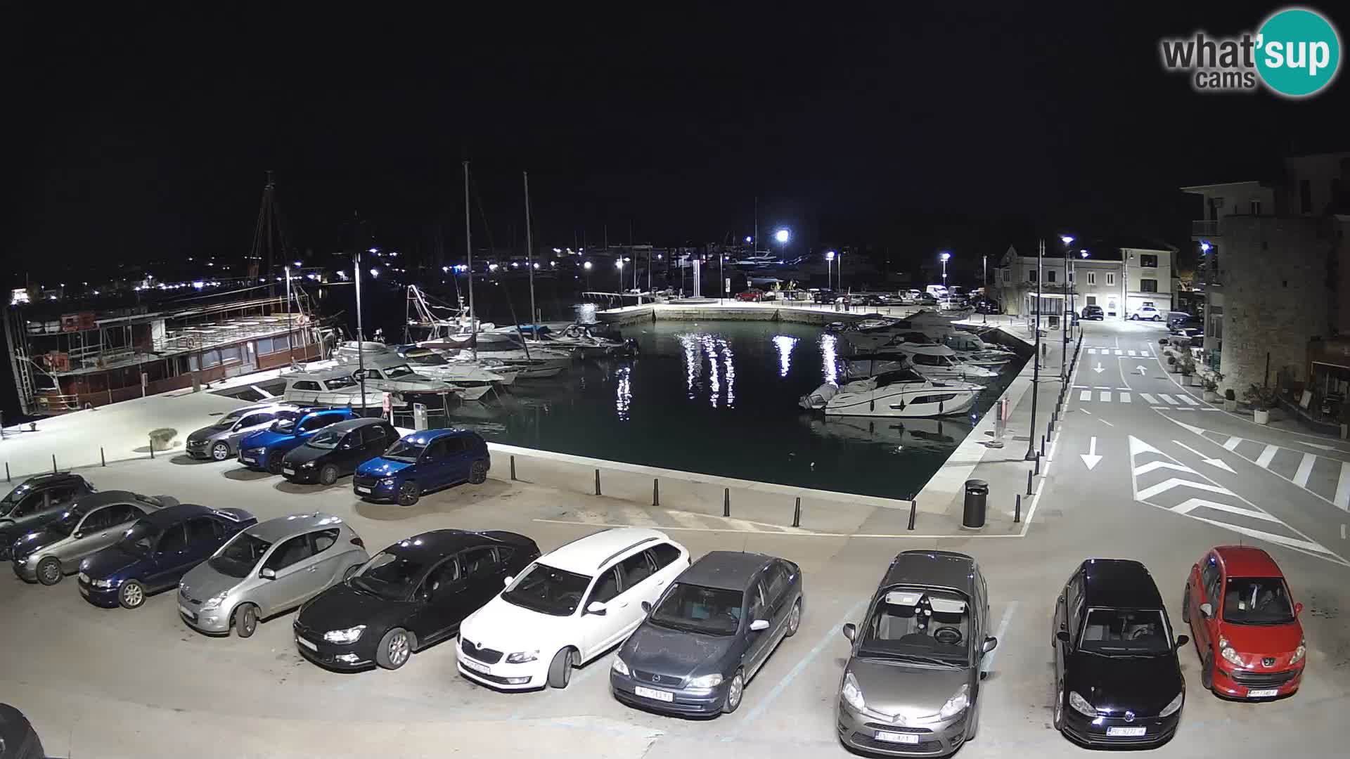 Novigrad | Porporela marina