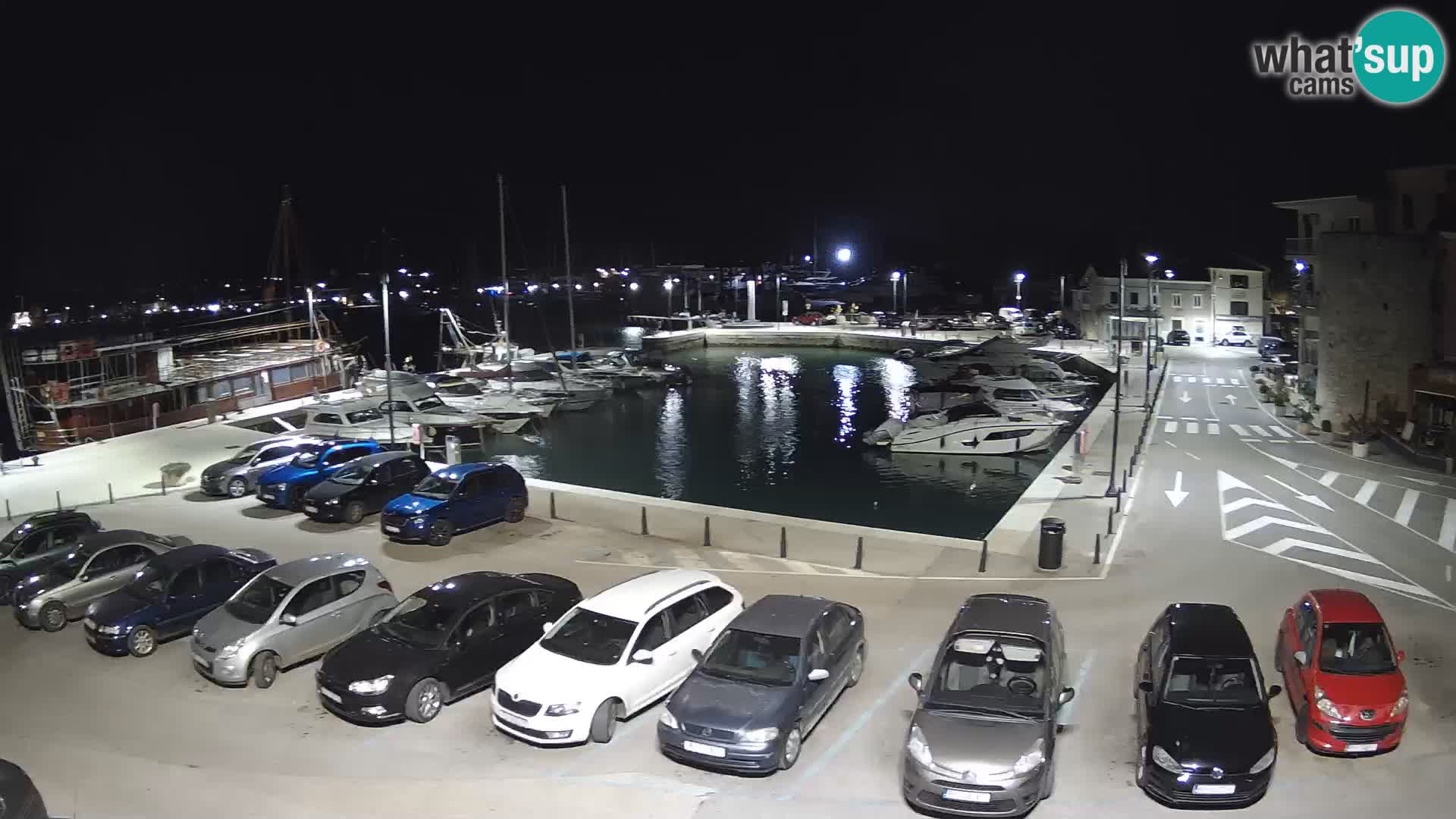 Novigrad | Porporela marina