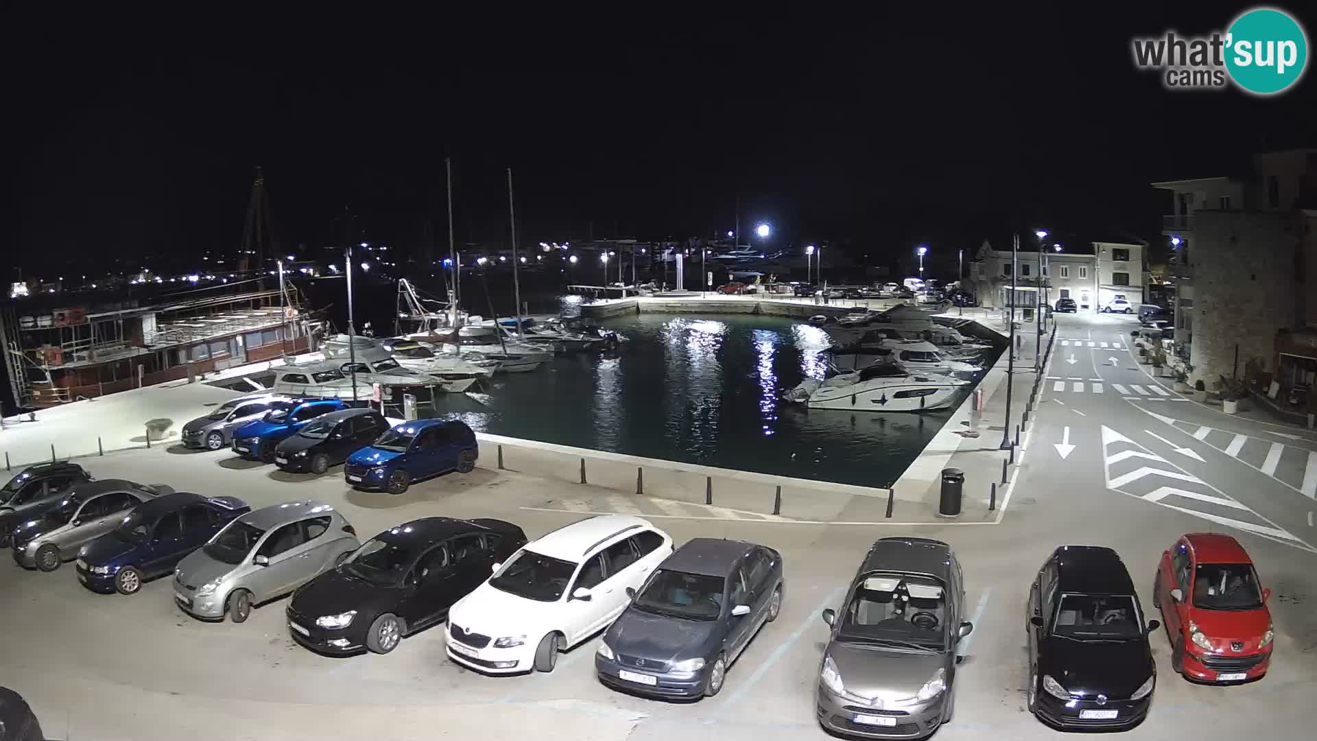 Novigrad | Porporela marina