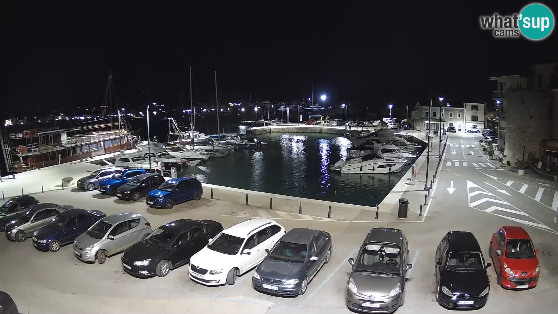 Novigrad | Porporela marina