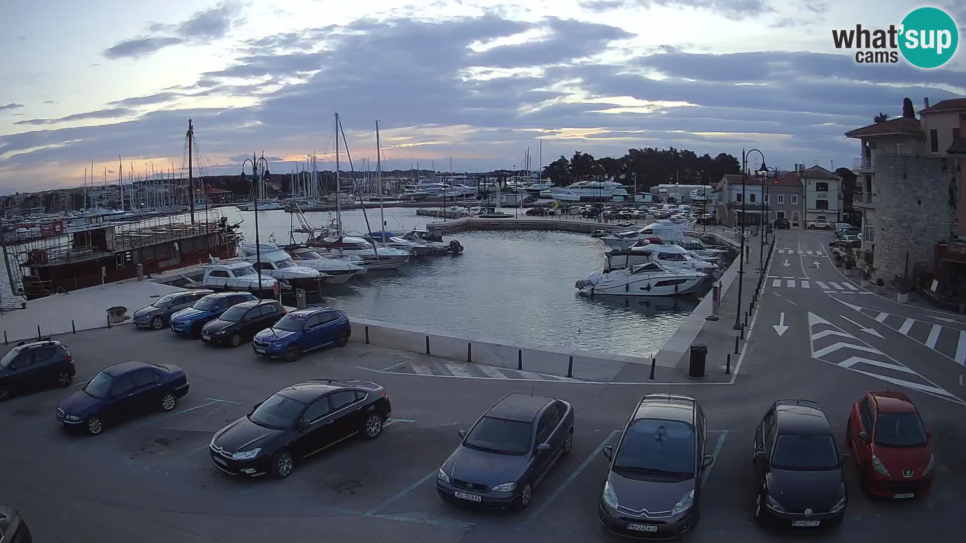 Novigrad | Porporela marina
