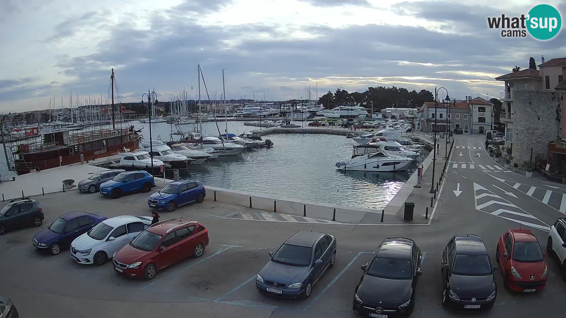 Novigrad | Porporela marina