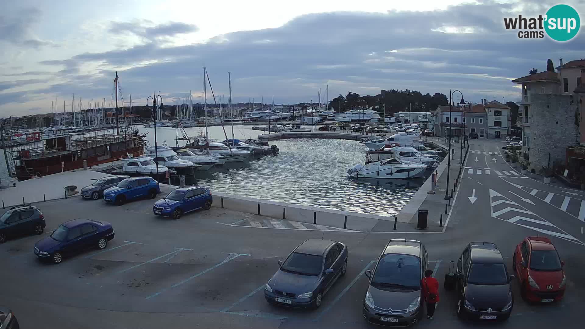 Novigrad | Porporela marina