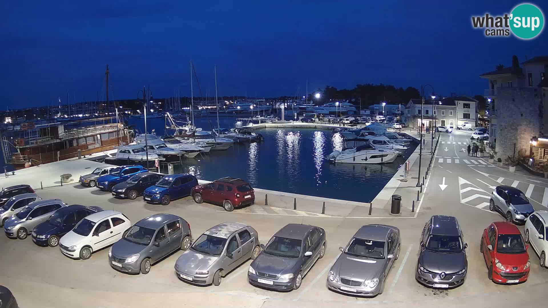Novigrad | Porporela marina
