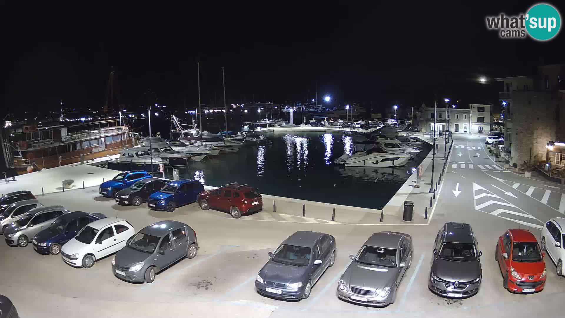 Novigrad | Porporela marina