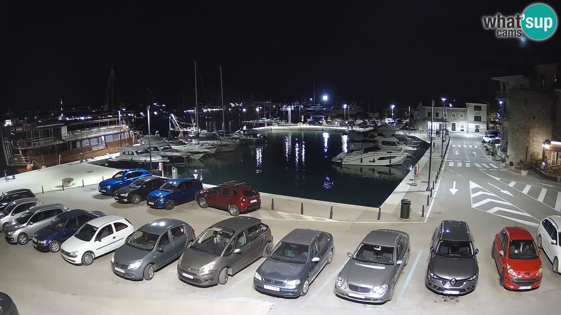 Novigrad | Porporela marina
