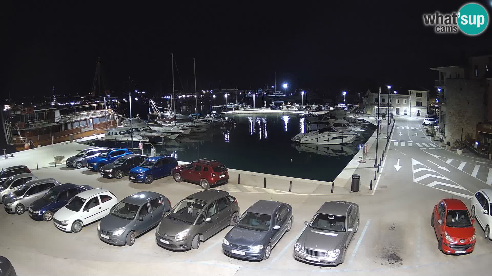 Novigrad | Porporela marina