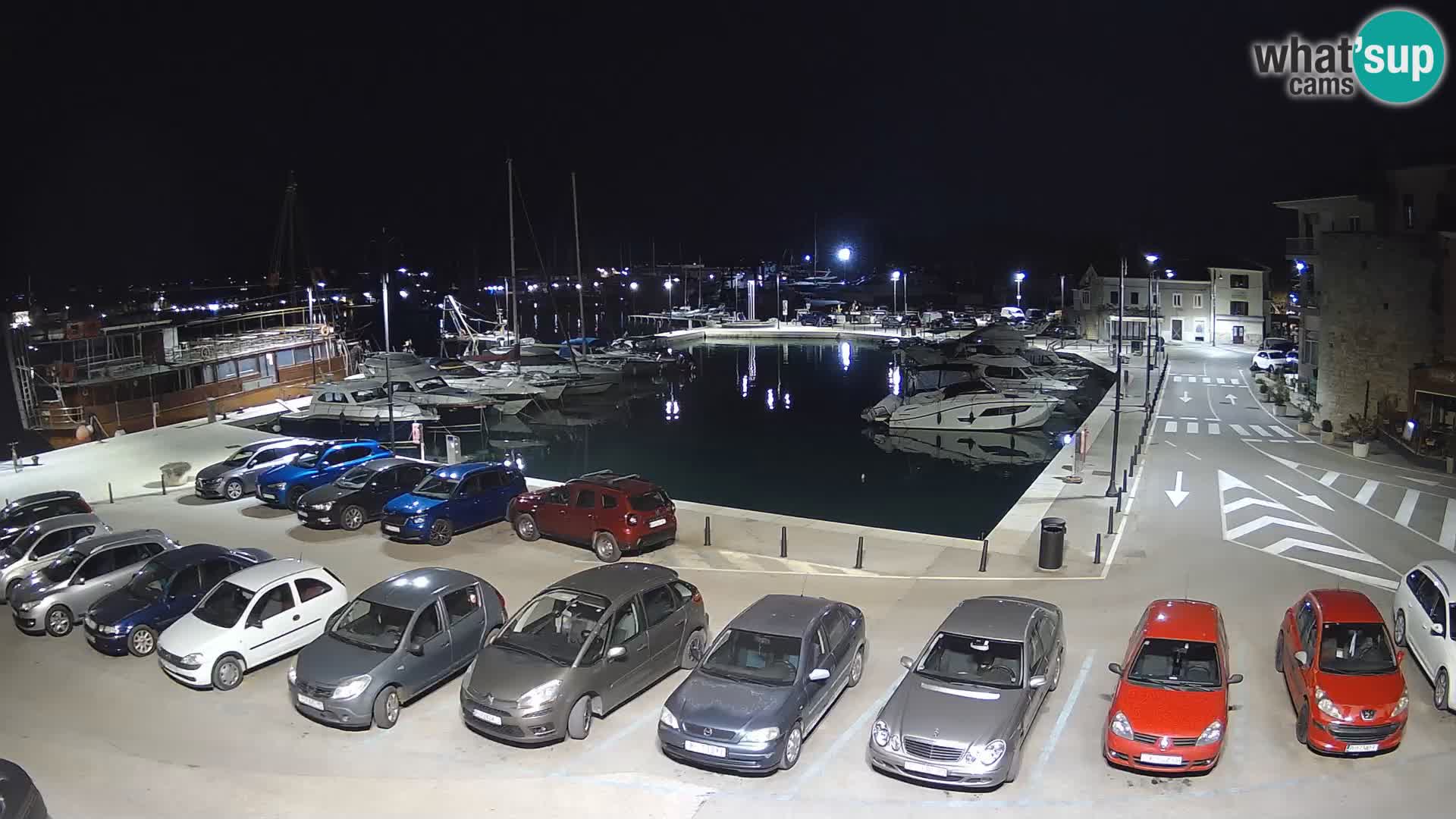 Novigrad | Porporela marina