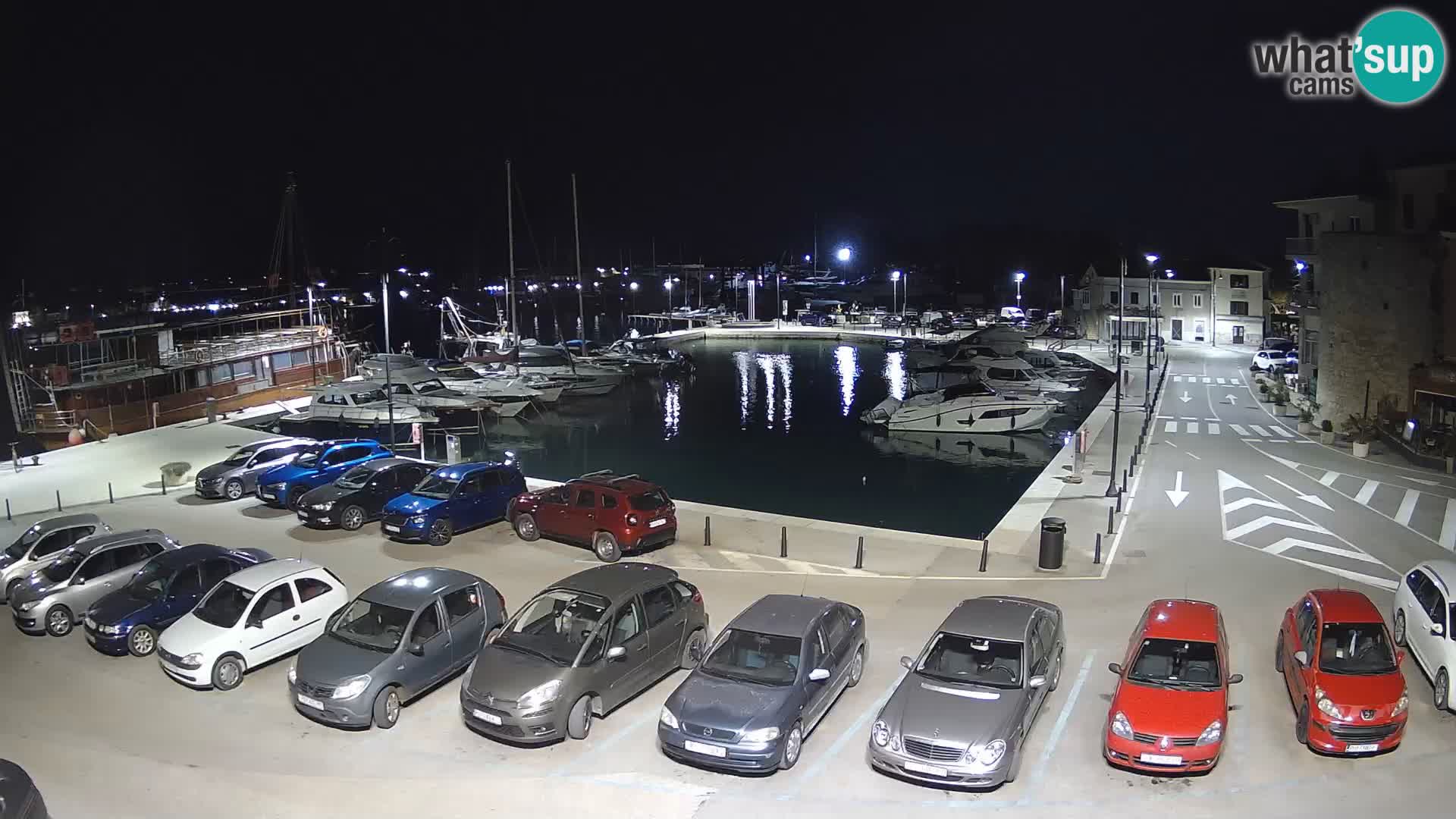 Novigrad | Porporela marina