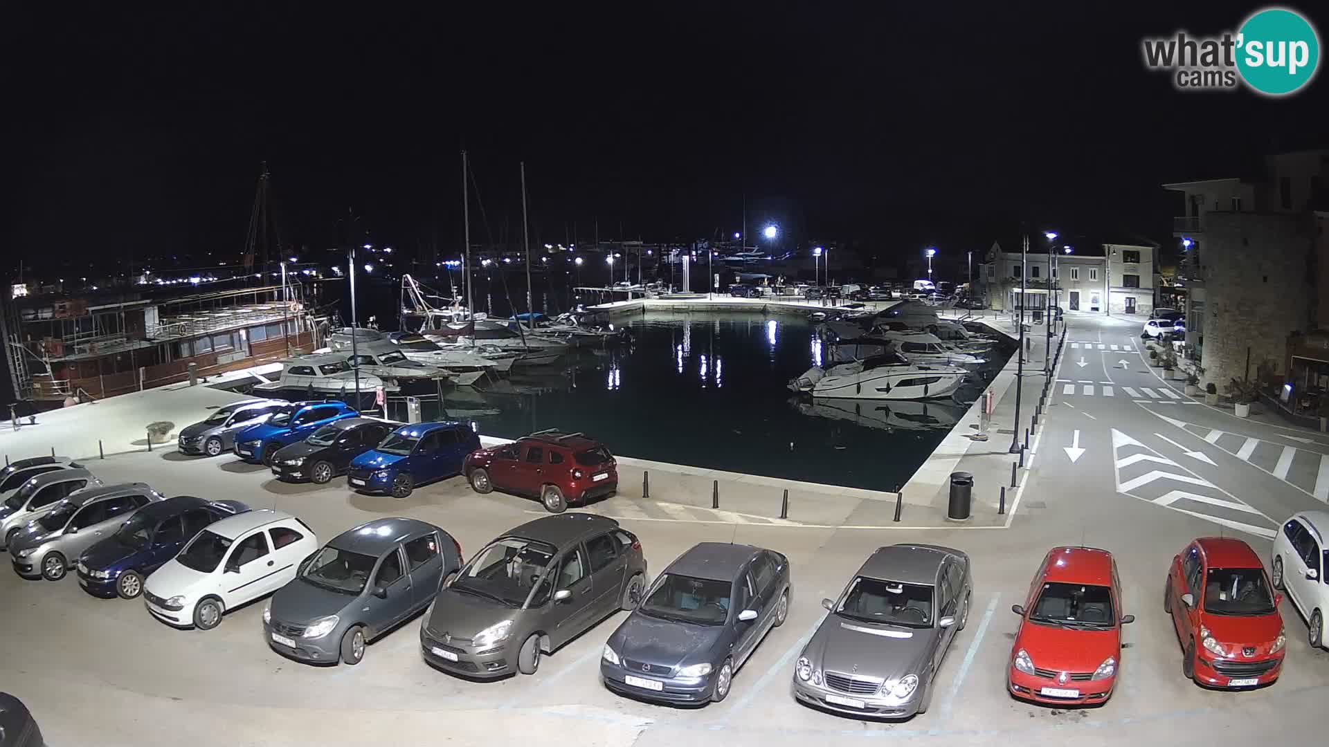 Novigrad | Porporela marina