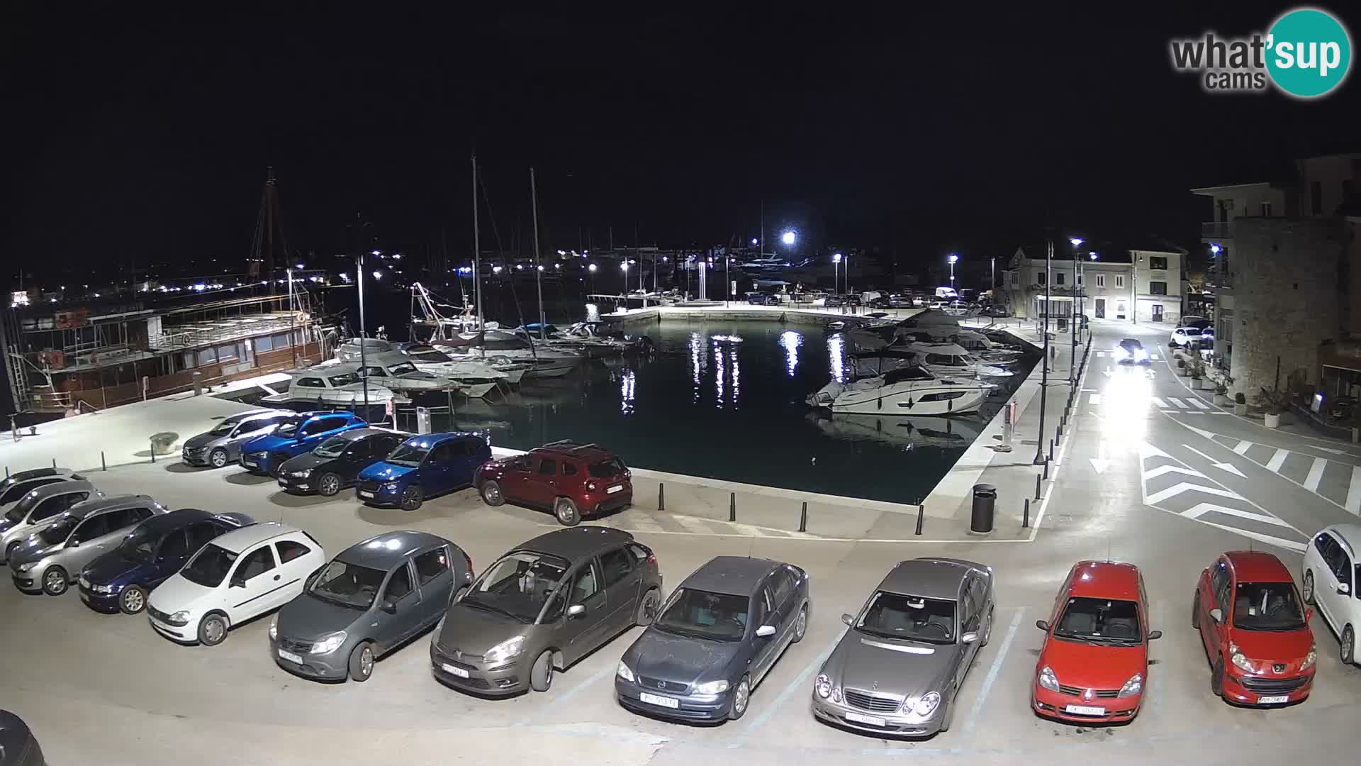 Novigrad | Porporela marina