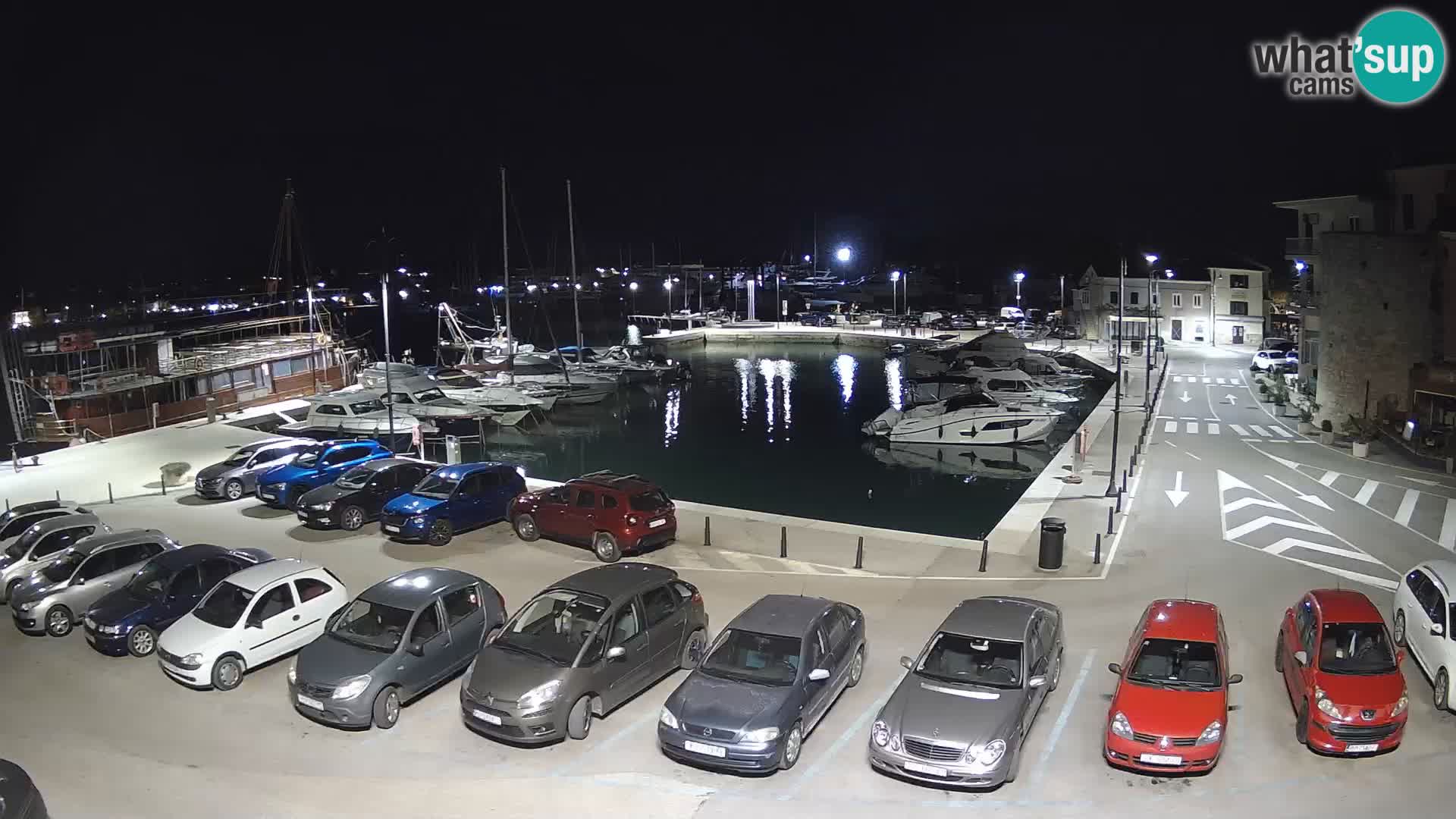 Novigrad | Porporela marina