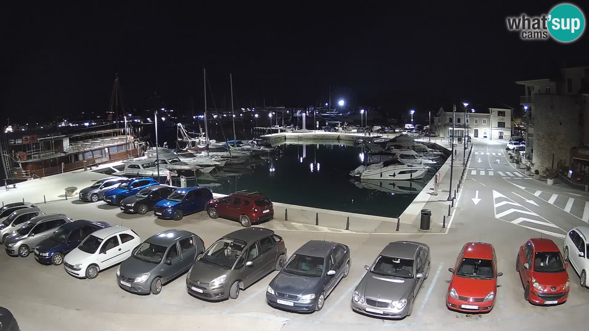 Novigrad | Porporela marina