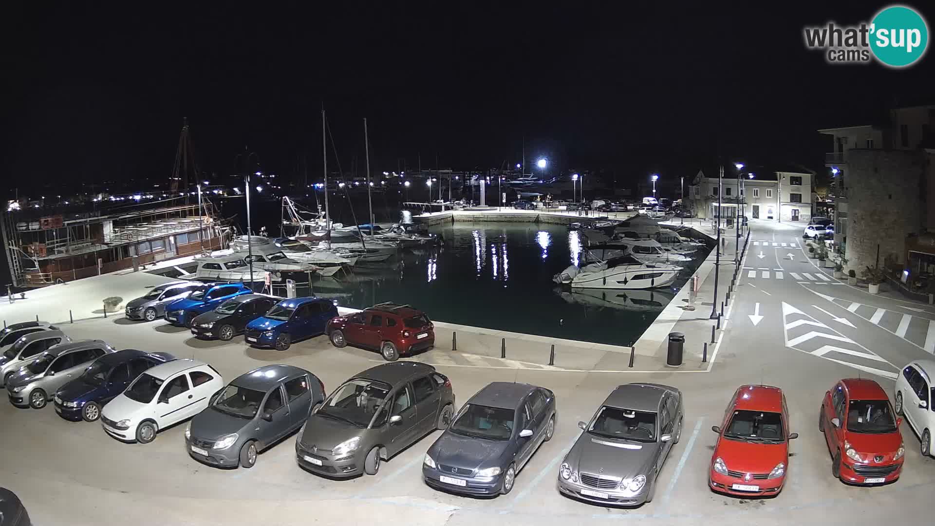 Novigrad | Porporela marina