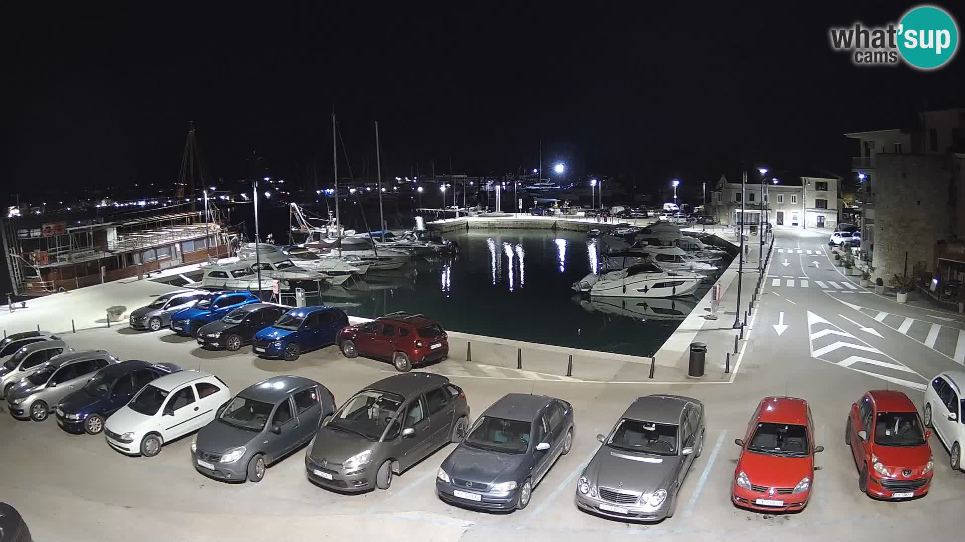 Novigrad | Porporela marina