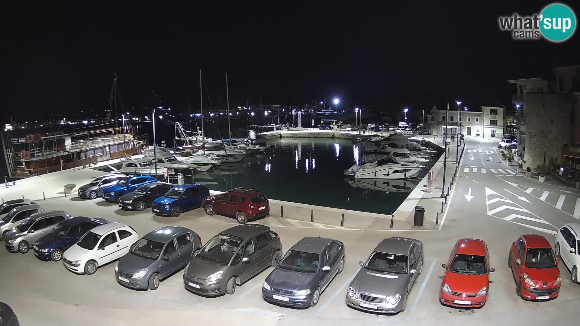Novigrad | Porporela marina