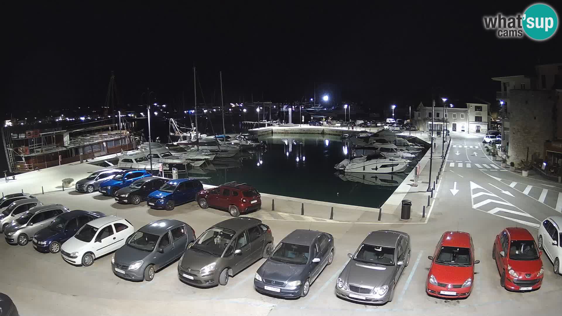 Novigrad | Porporela marina