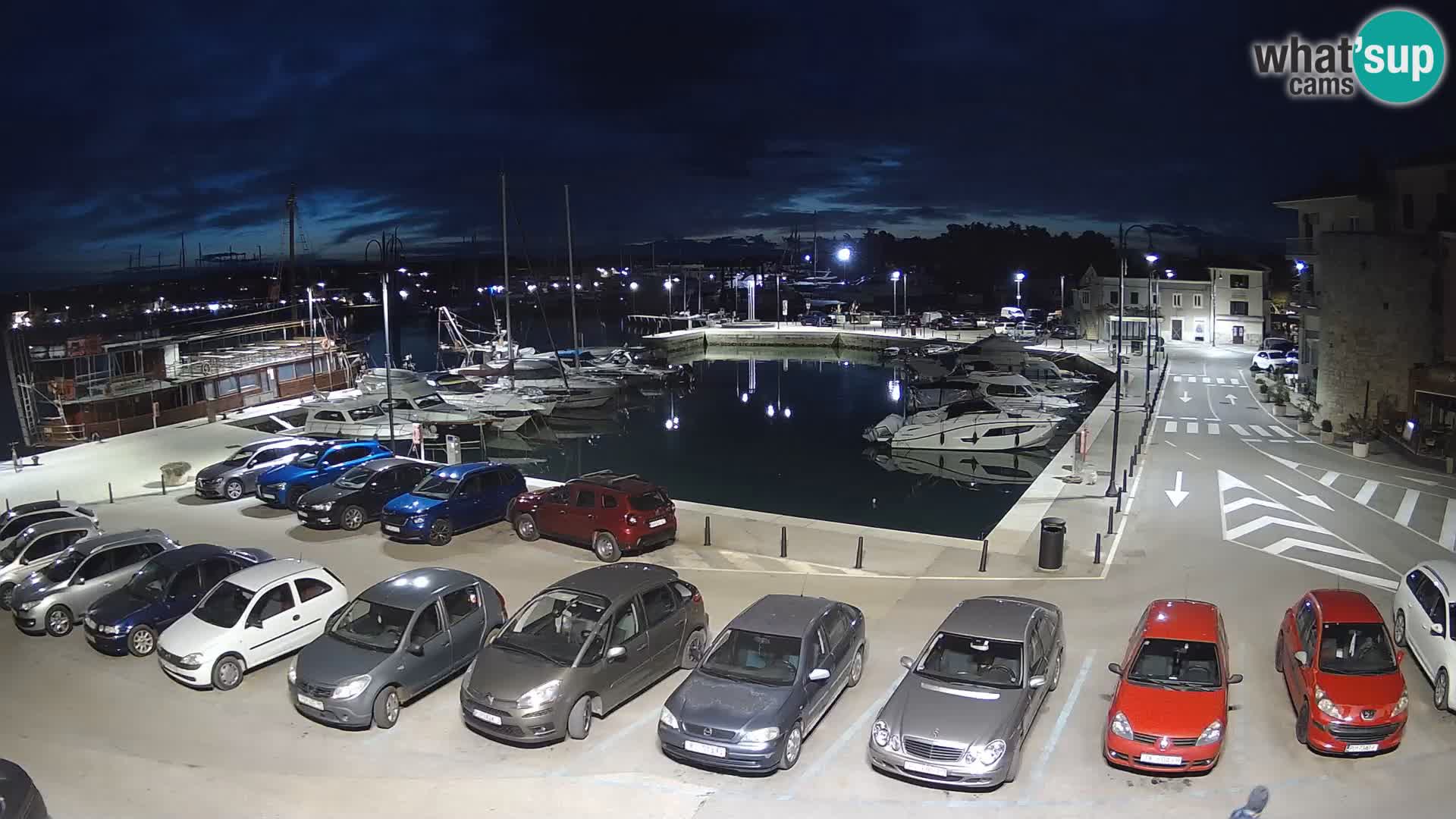 Novigrad | Porporela marina