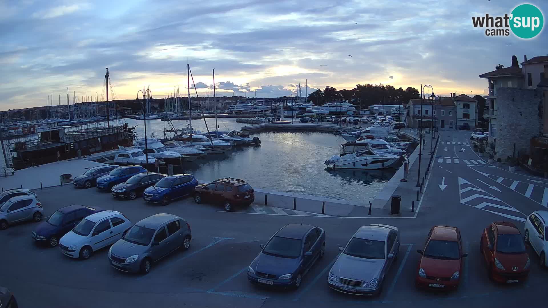 Novigrad | Porporela marina