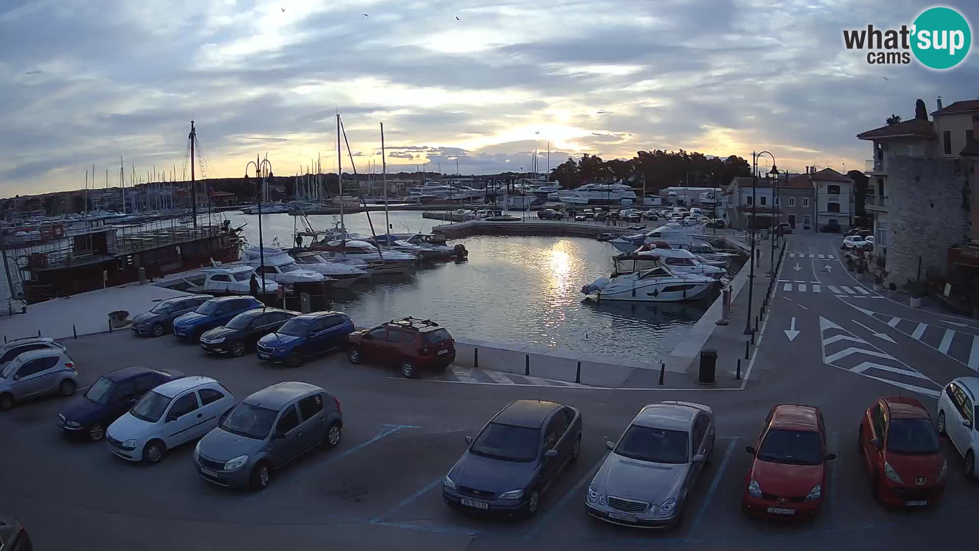 Novigrad | Porporela marina