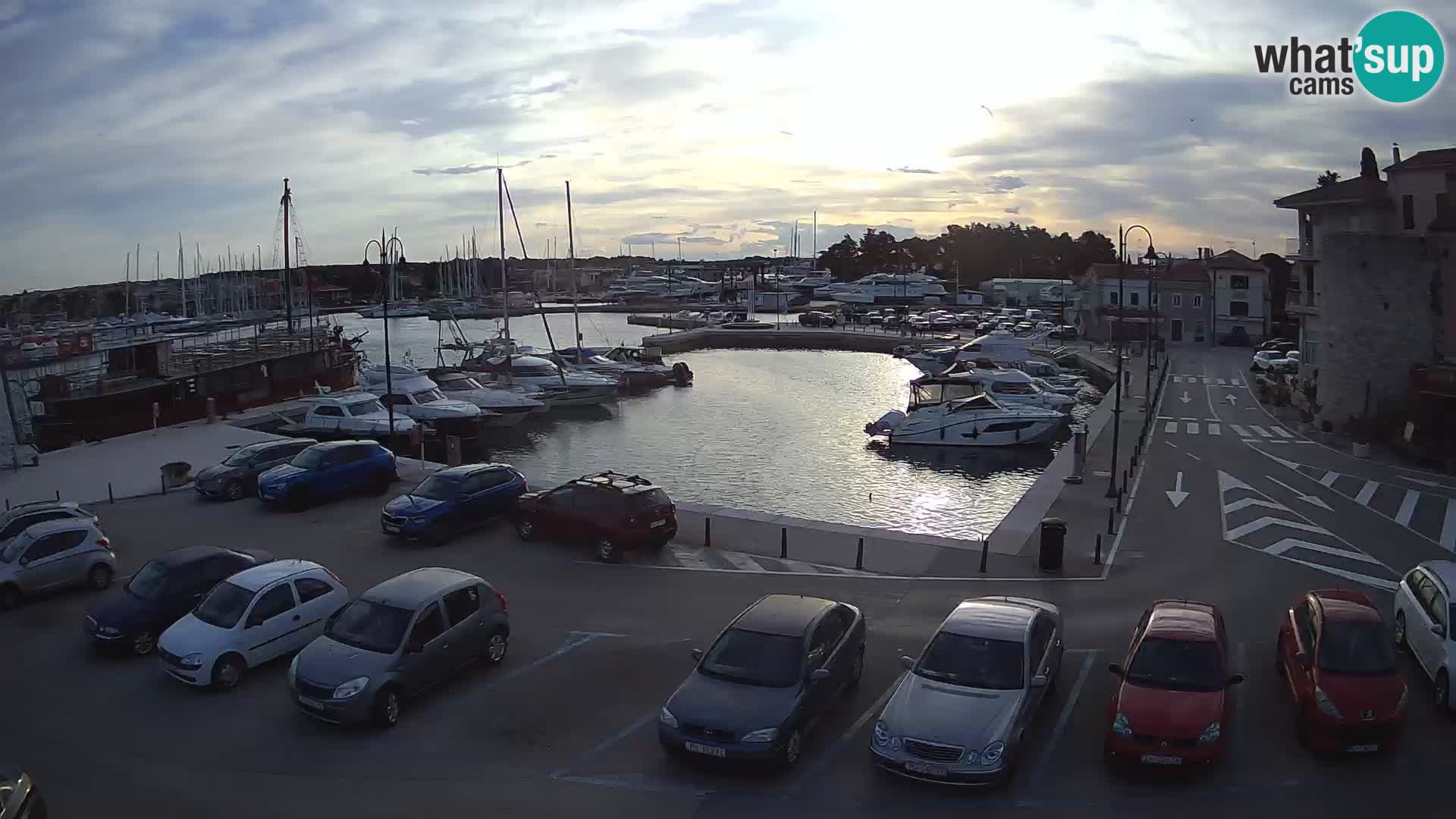 Novigrad | Porporela marina