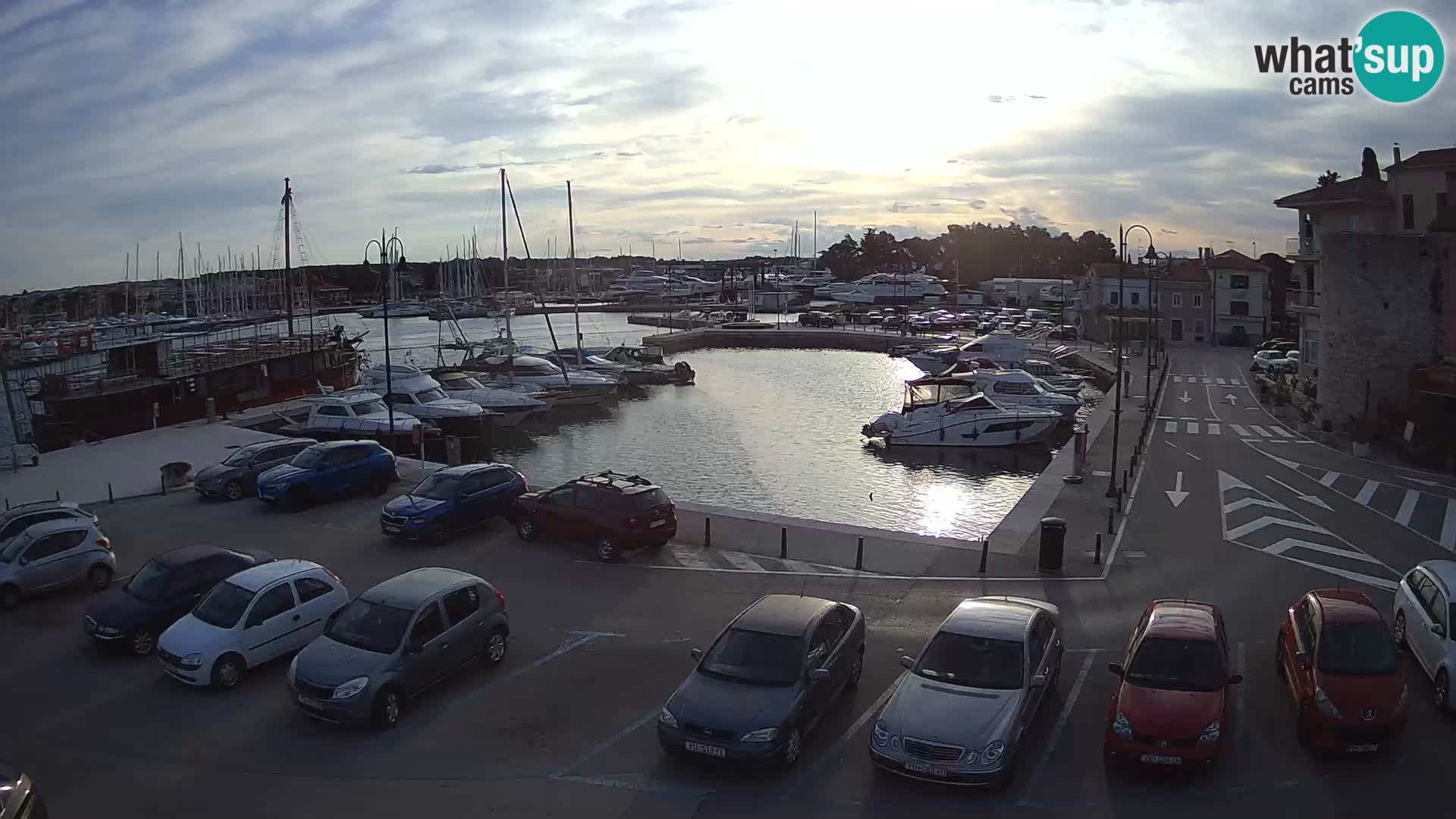 Novigrad | Porporela marina