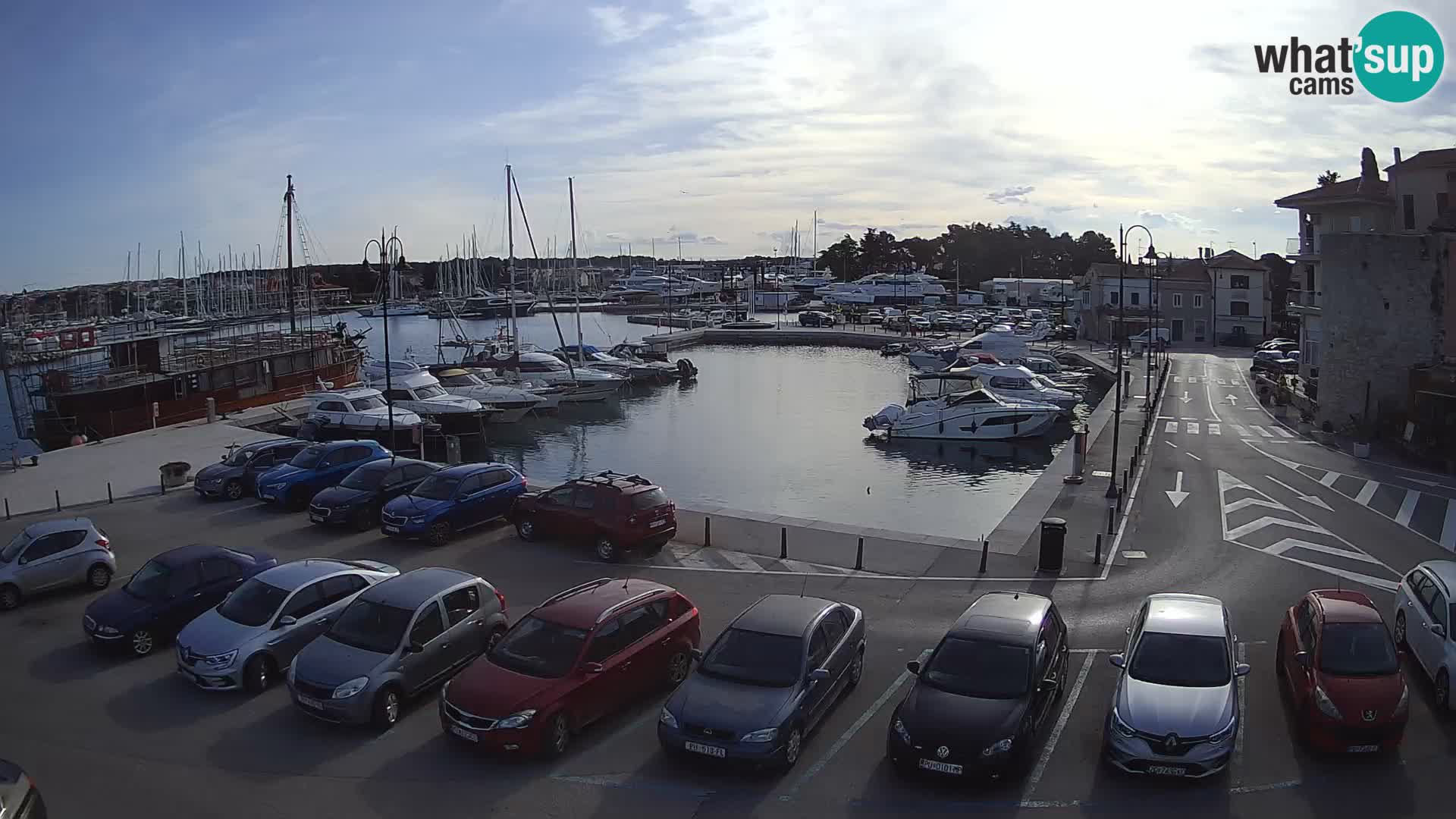 Novigrad | Porporela marina