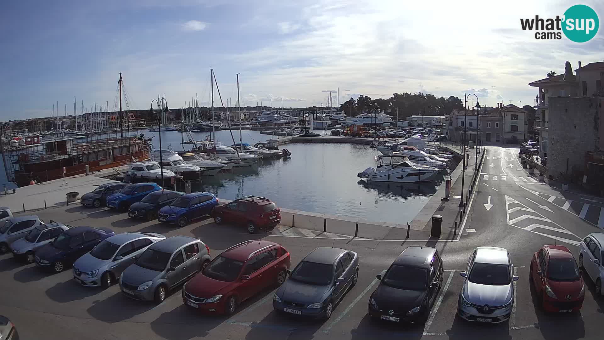 Novigrad | Porporela marina