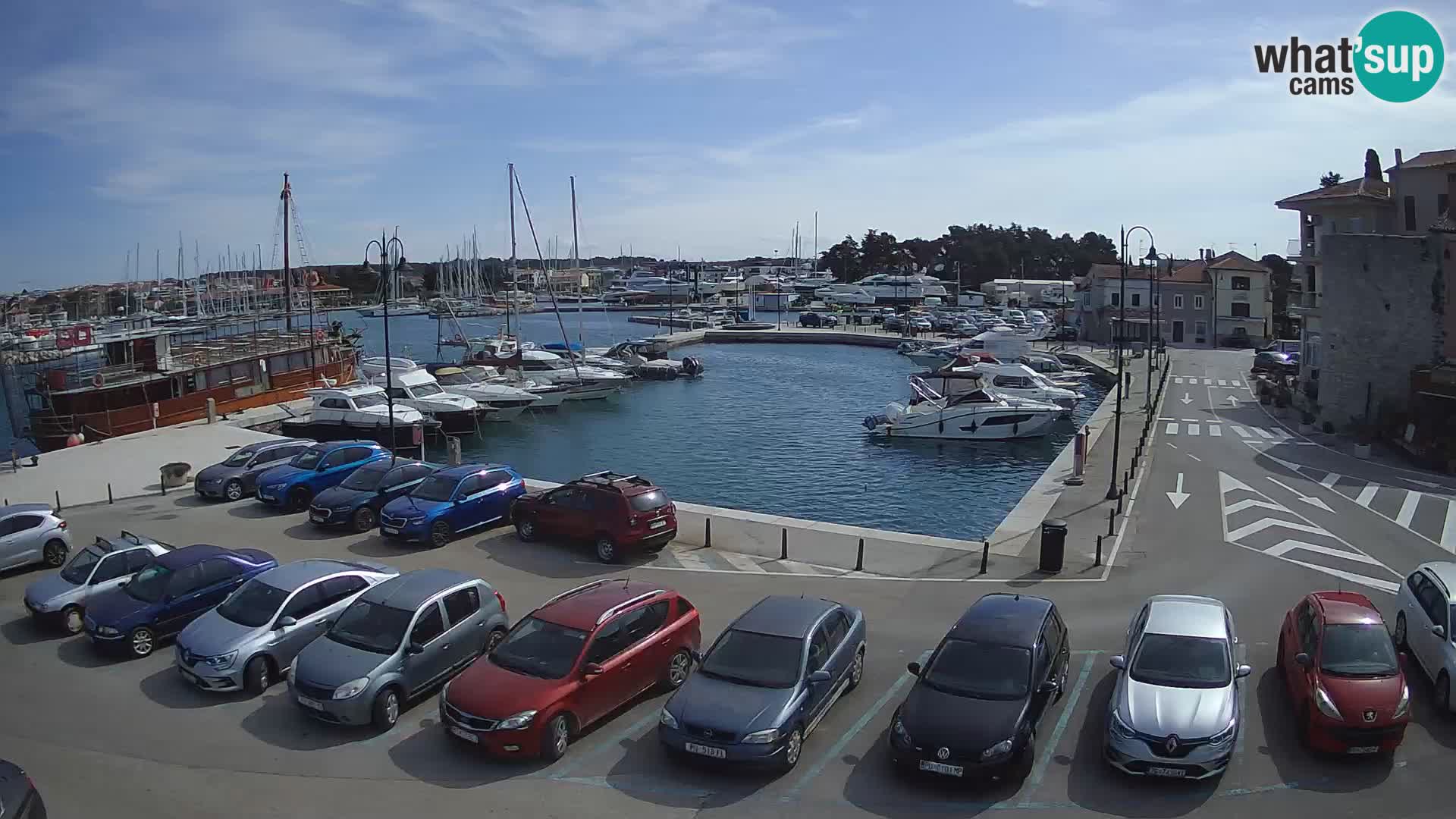 Novigrad | Porporela marina