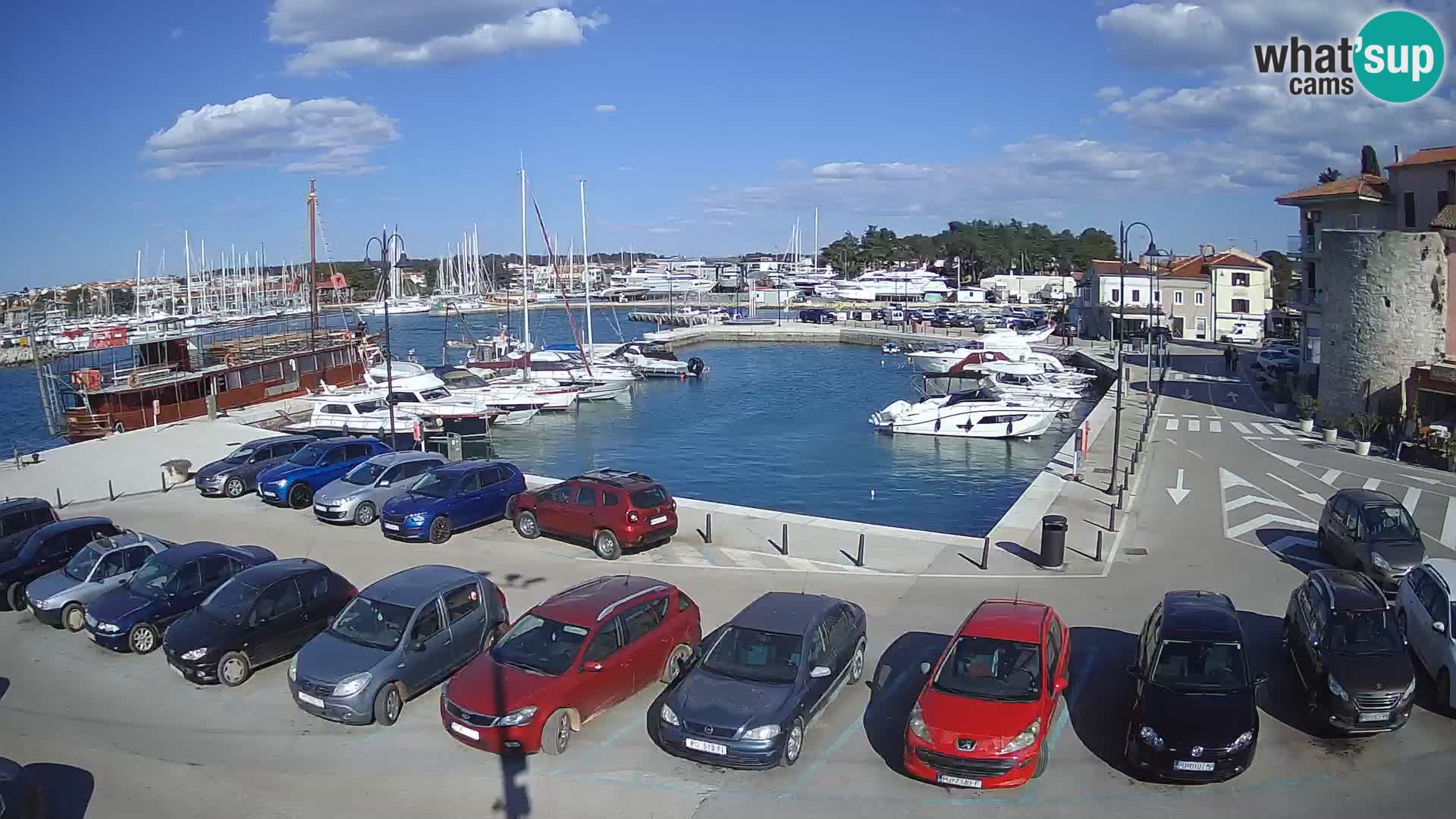 Novigrad | Porporela marina