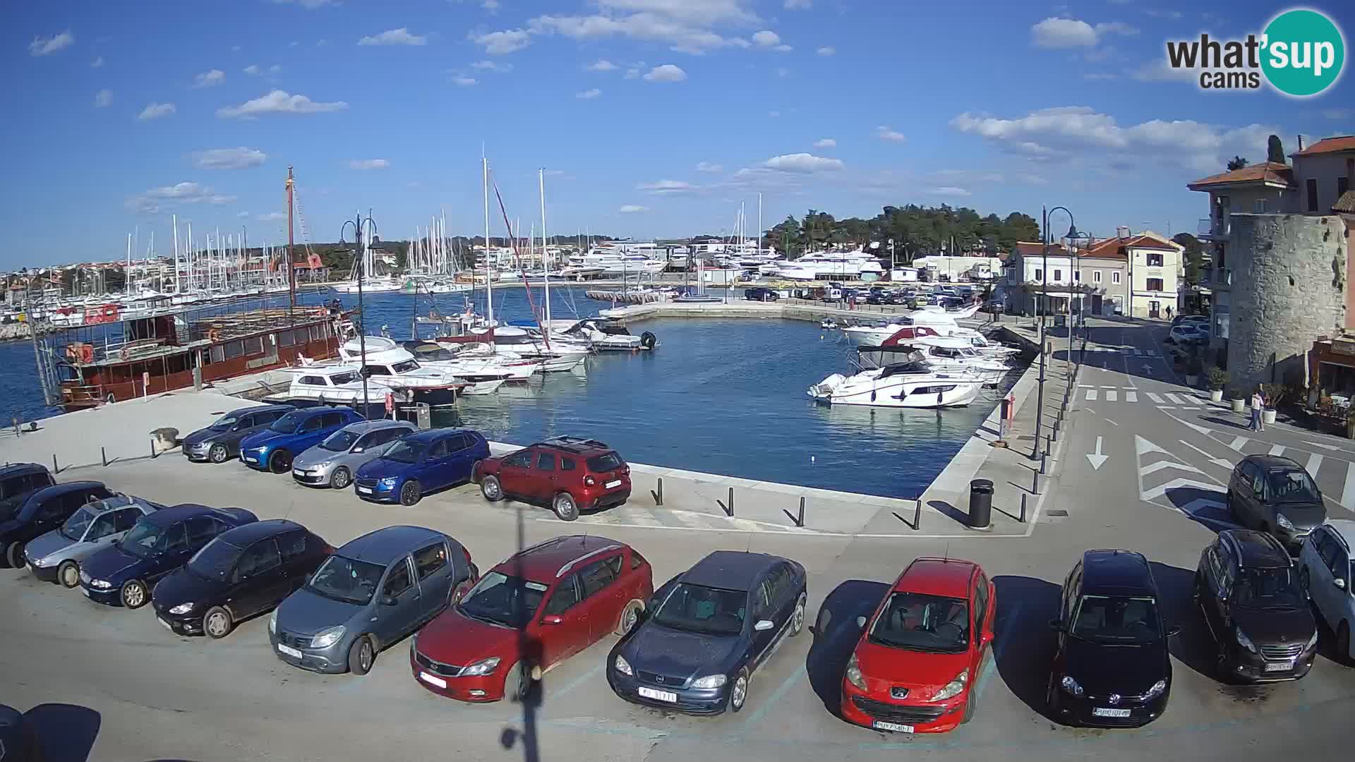 Novigrad | Porporela marina