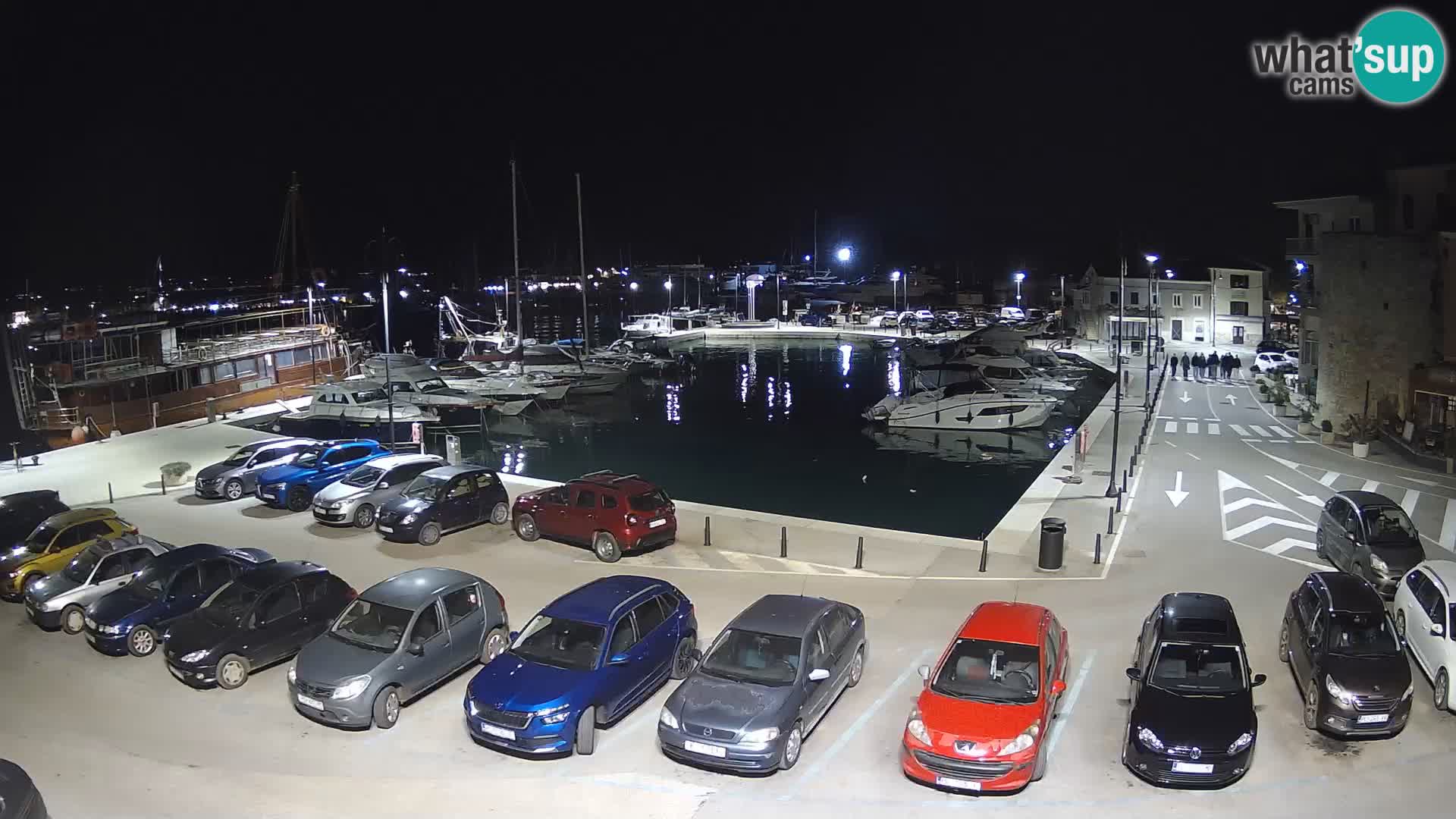 Novigrad | Porporela marina