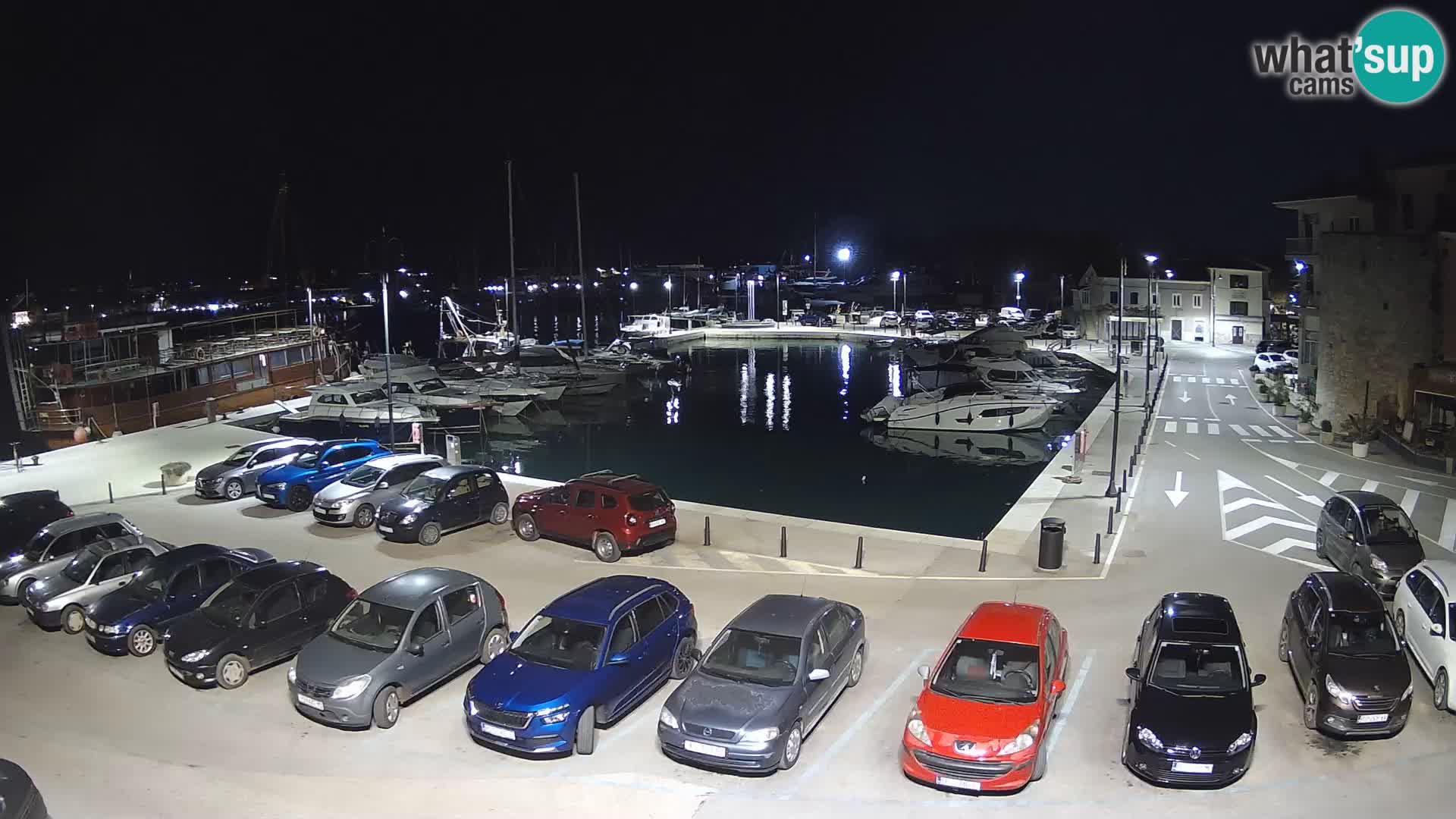 Novigrad | Porporela marina