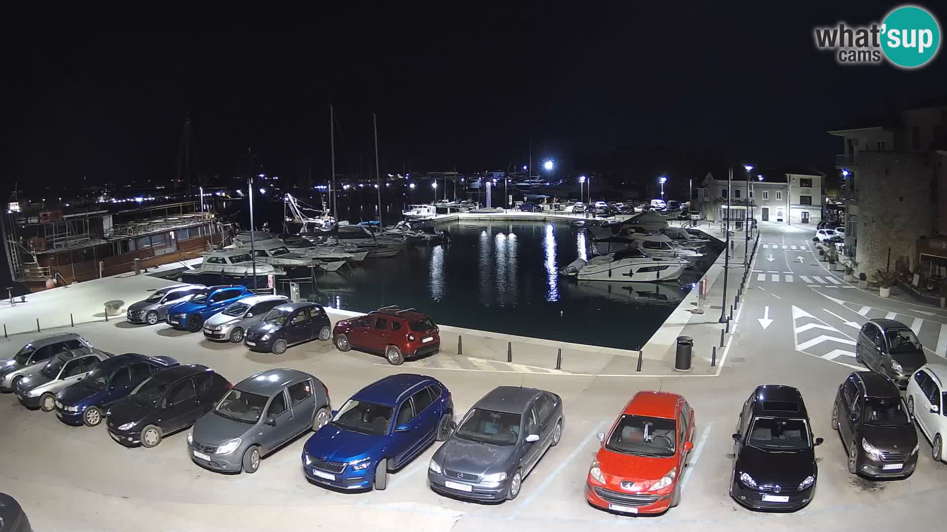 Novigrad | Porporela marina