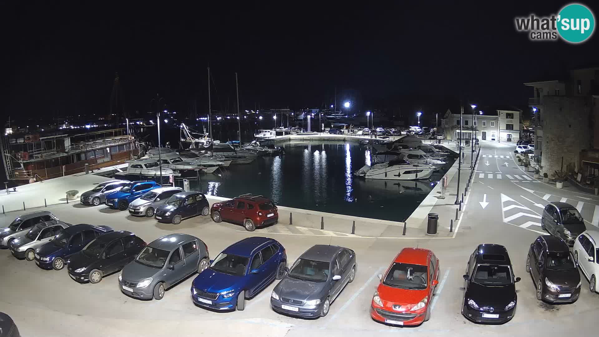 Novigrad | Porporela marina