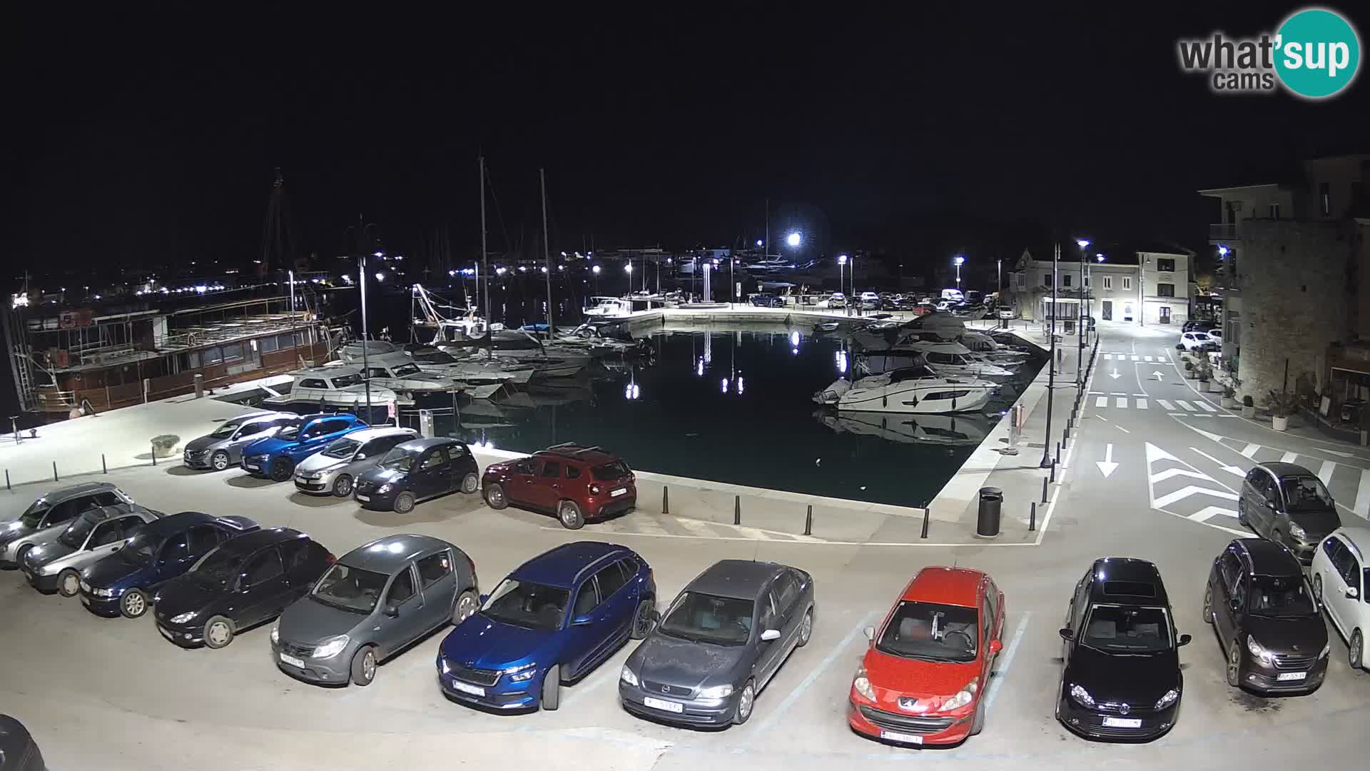 Novigrad | Porporela marina