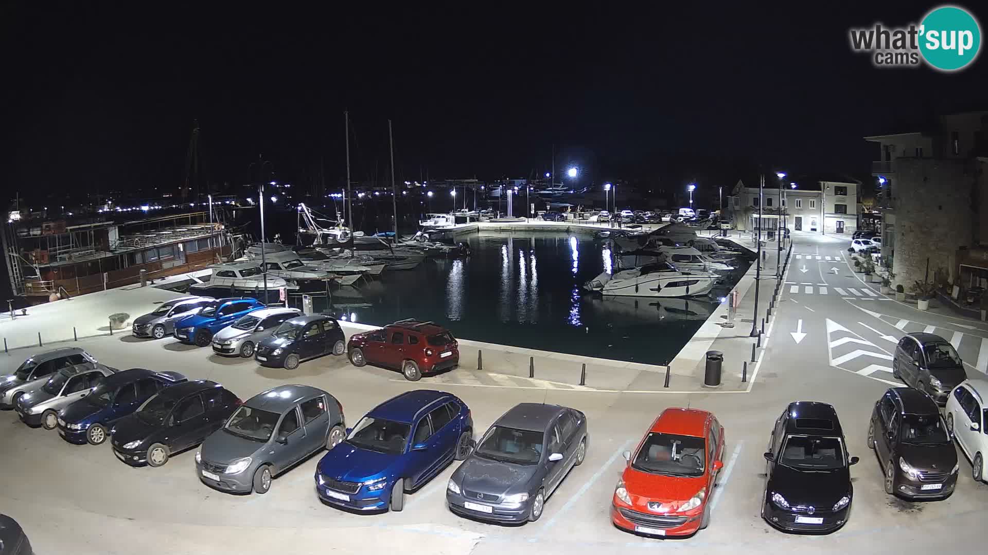 Novigrad | Porporela marina