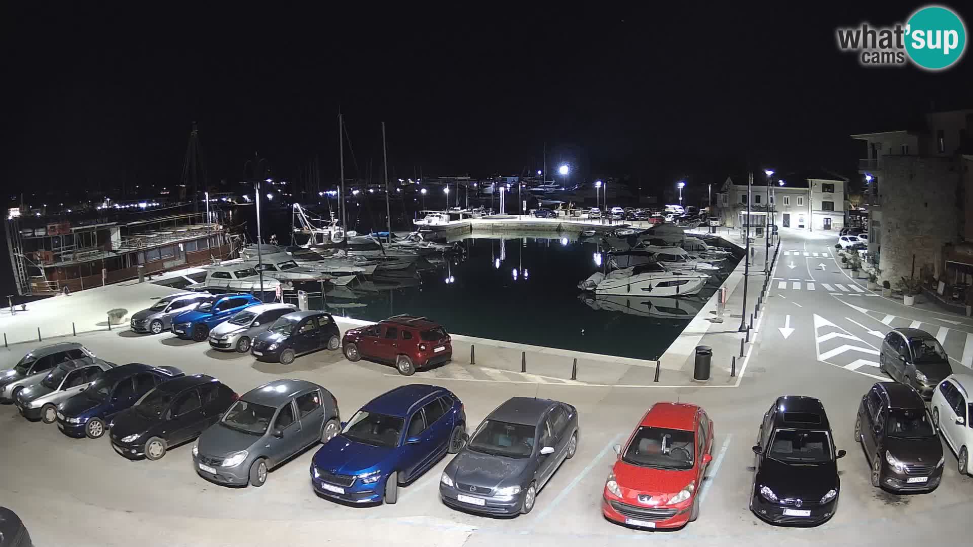 Novigrad | Porporela marina