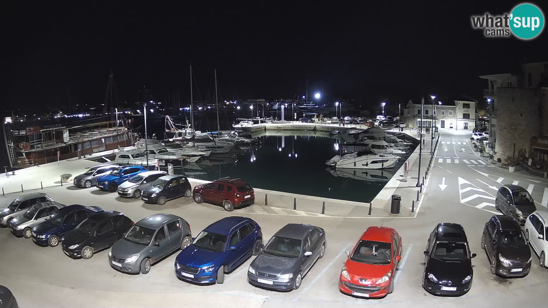 Novigrad | Porporela marina