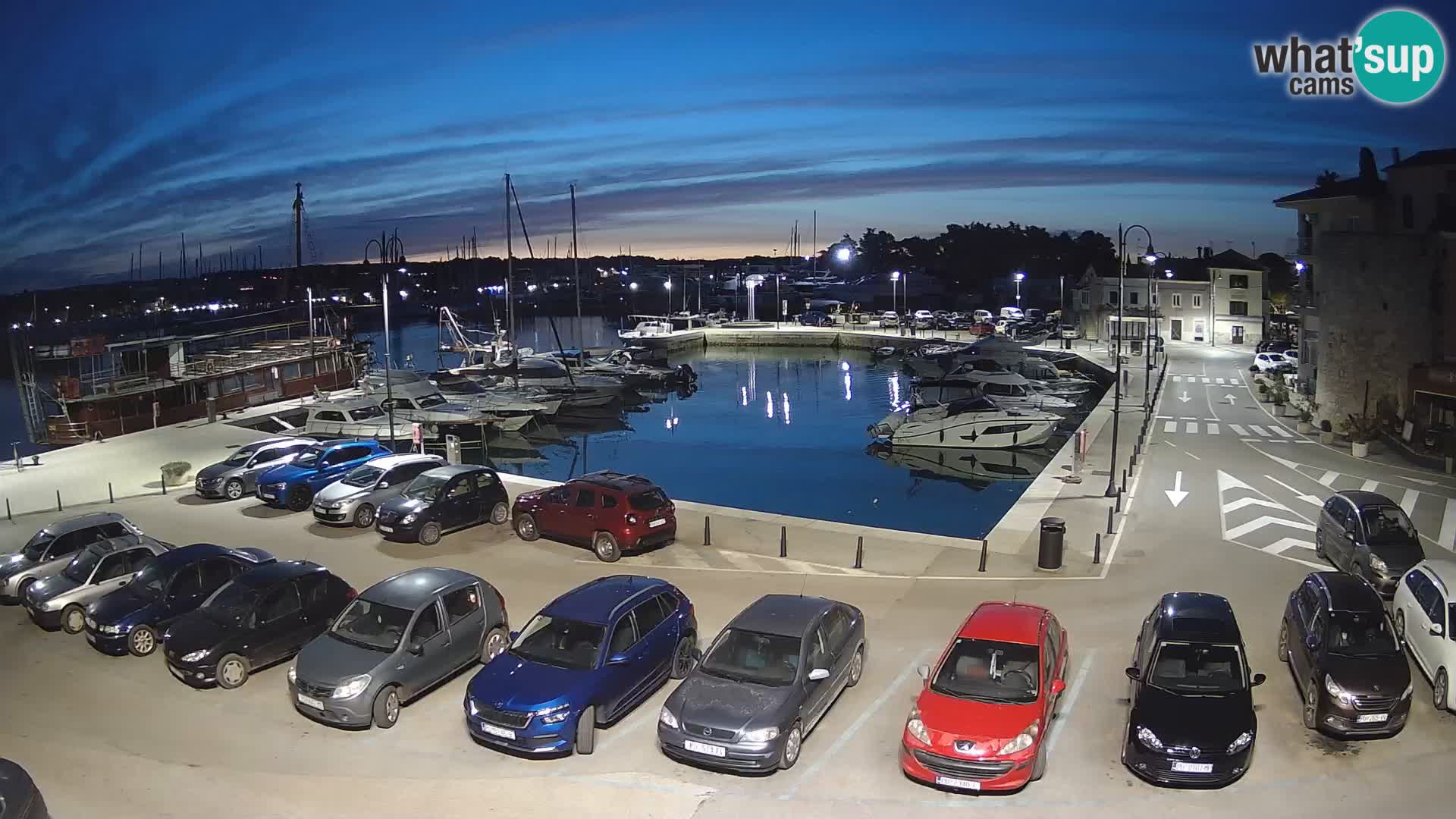 Novigrad | Porporela marina