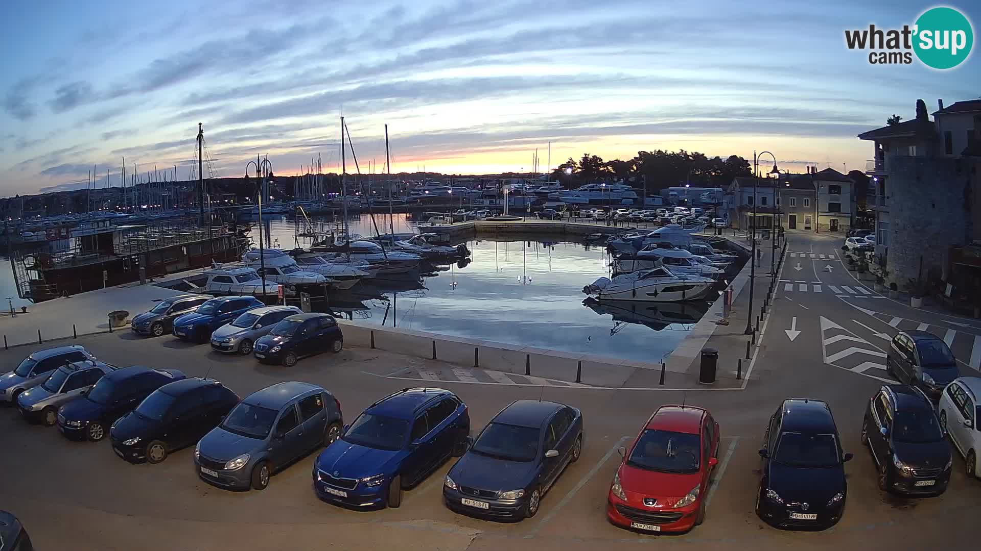 Novigrad | Porporela marina